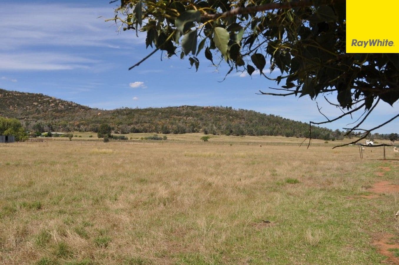 8250 Escort Way, Eugowra NSW 2806, Eugowra - Image 1