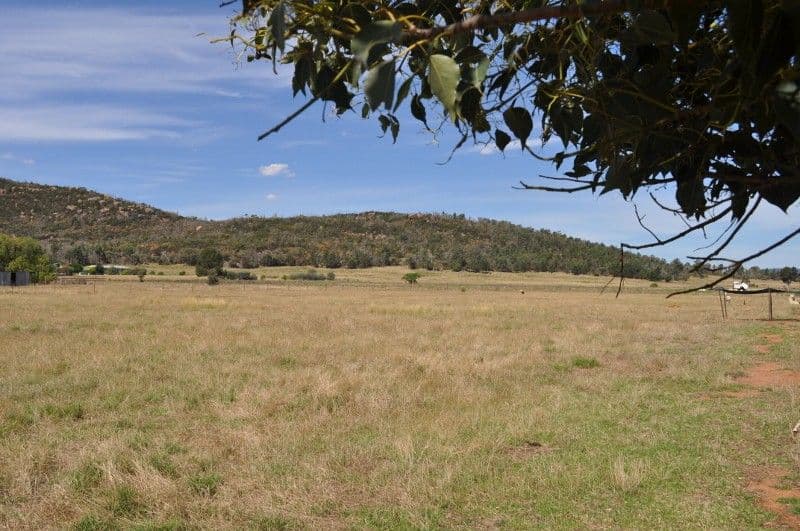 8250 Escort Way, Eugowra NSW 2806, Eugowra - Thumbnail 2