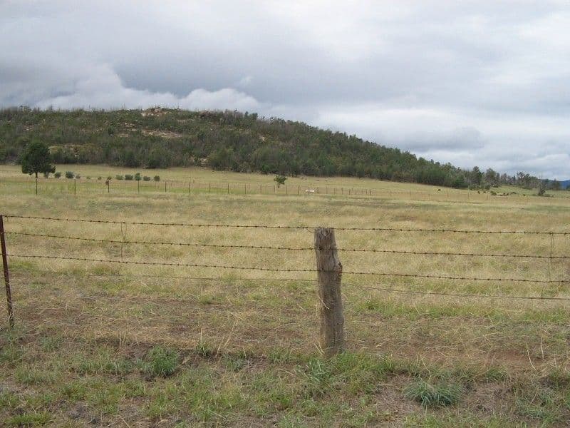 8250 Escort Way, Eugowra NSW 2806, Eugowra - Thumbnail 3
