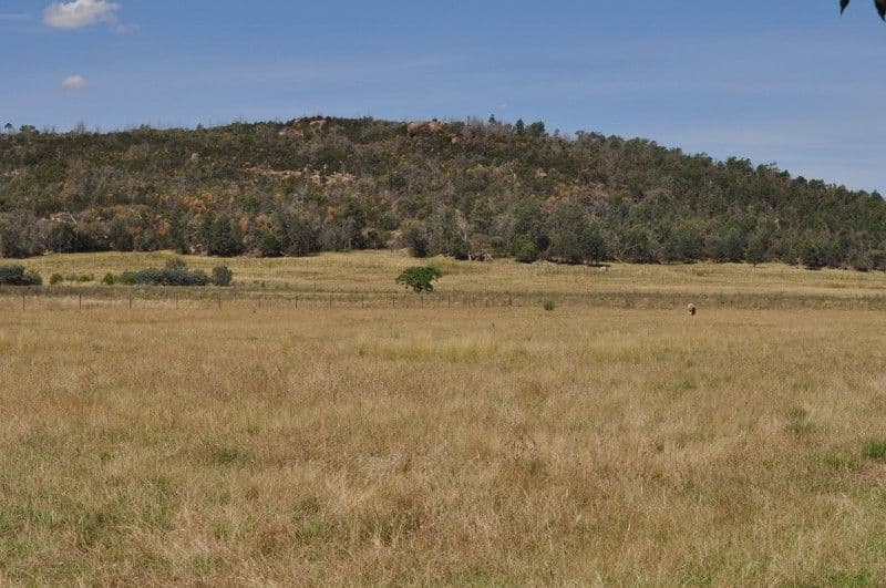 8250 Escort Way, Eugowra NSW 2806, Eugowra - Thumbnail 4