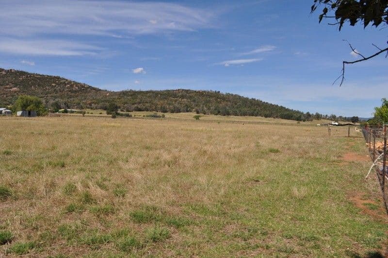 8250 Escort Way, Eugowra NSW 2806, Eugowra - Thumbnail 5