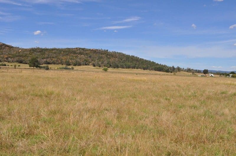 8250 Escort Way, Eugowra NSW 2806, Eugowra - Thumbnail 6