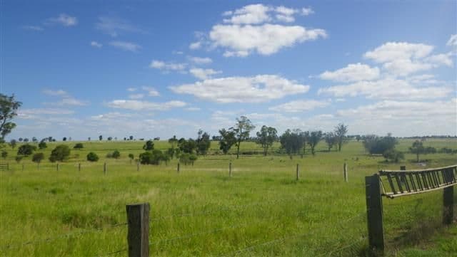Lot 242 Rosedale Road, ROMA QLD 4455, Roma - Thumbnail 4