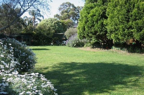 19  Colin Court, DINGLEY VILLAGE VIC 3172, Dingley Village - Thumbnail 2