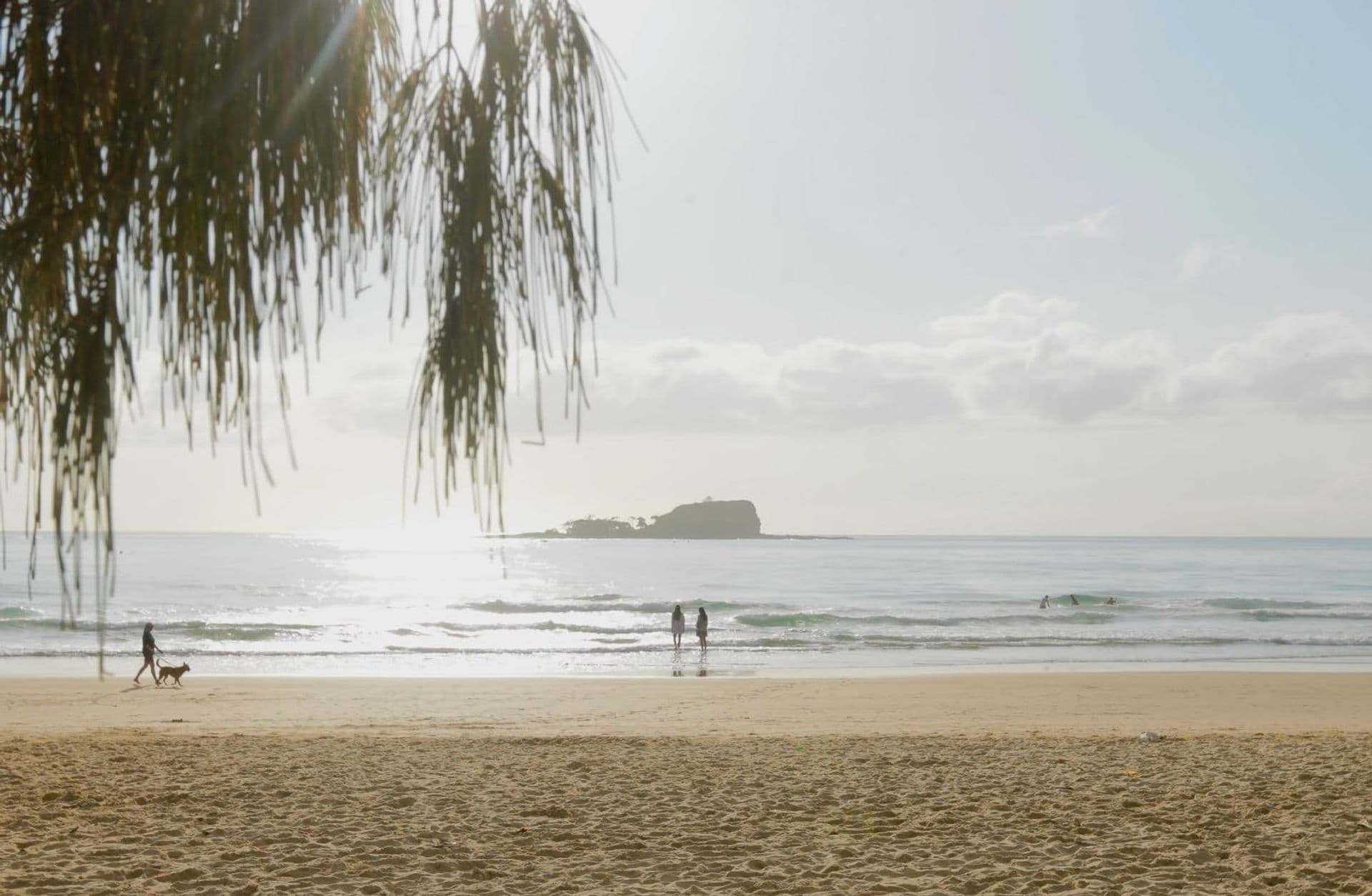 155 Mudjimba Beach Road, Mudjimba, QLD, 4564, Mudjimba - Image 1