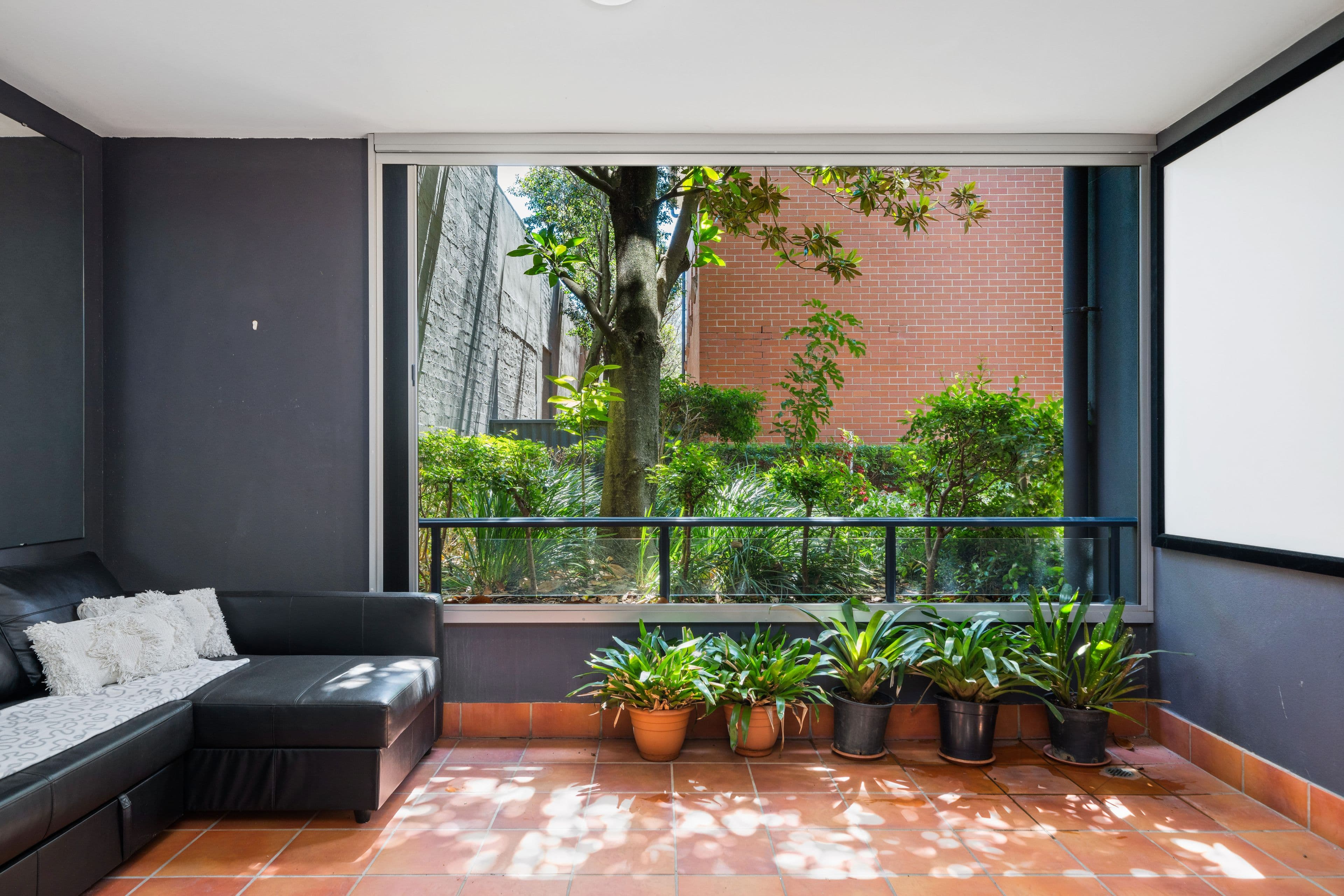 1 Shirley Street, Alexandria NSW 2015, Alexandria - Image 1