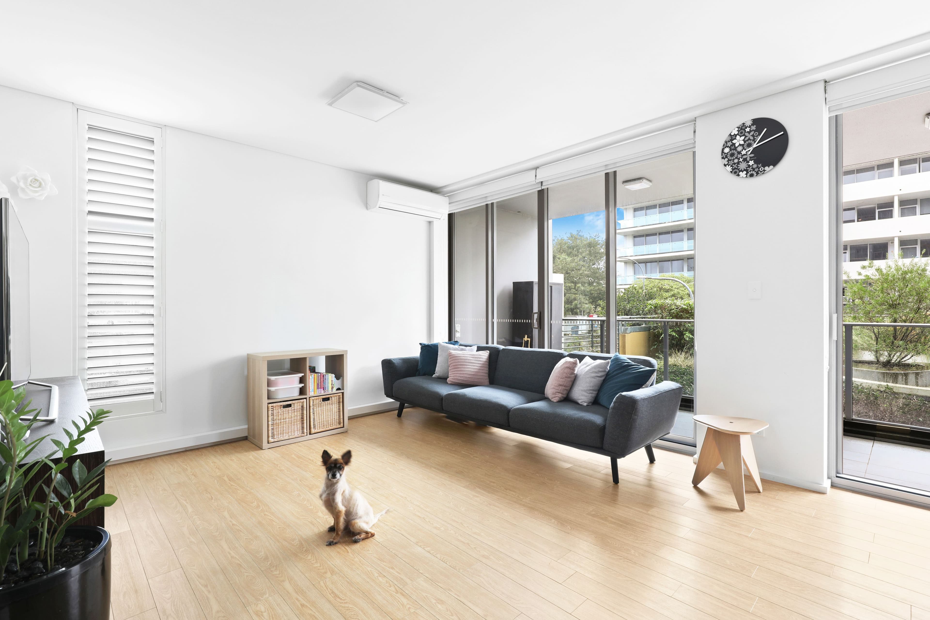 18 Amelia Street, Waterloo NSW 2017, Waterloo - Thumbnail 3