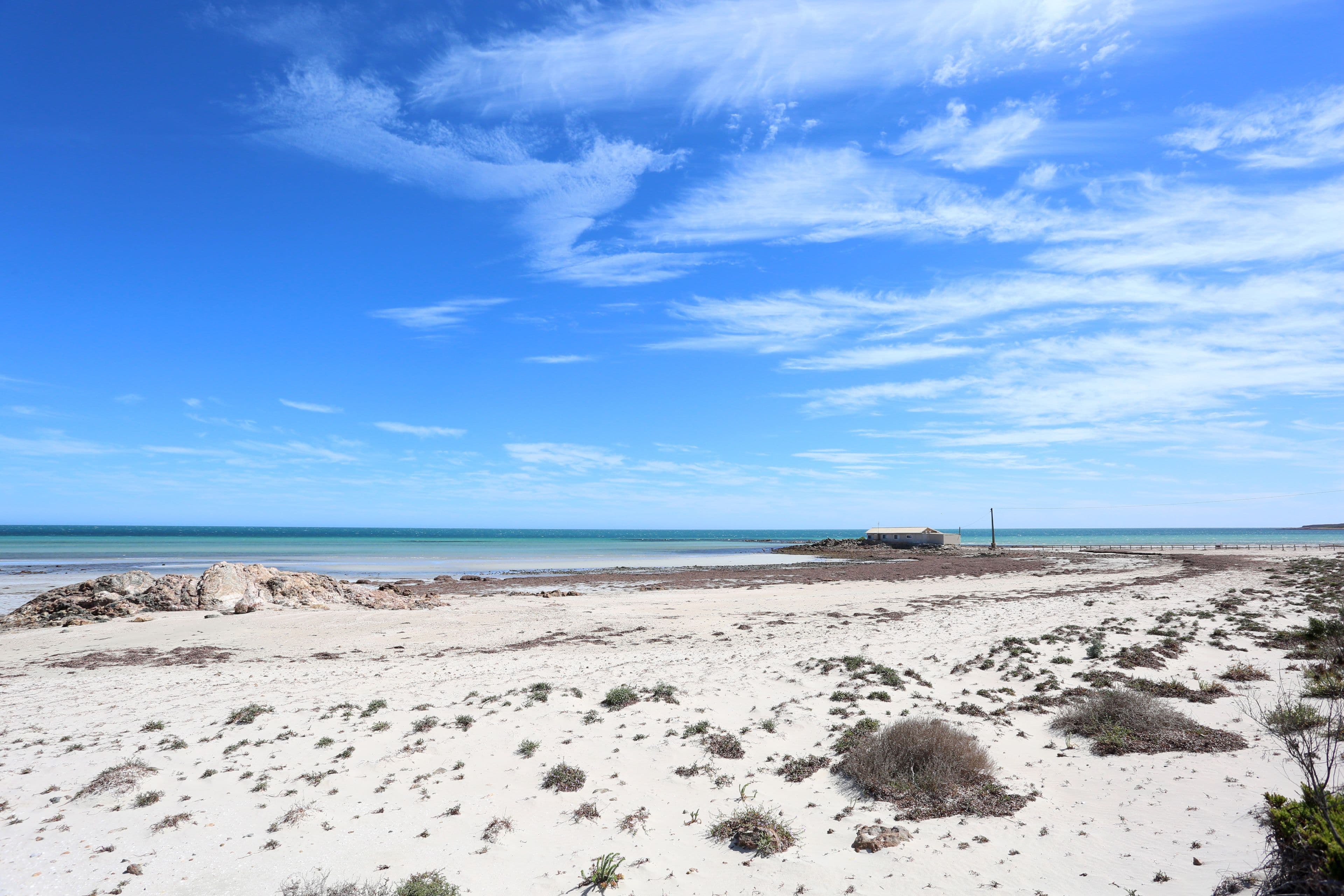 56 Clayton Drive, North Beach SA 5556, North Beach - Thumbnail 4
