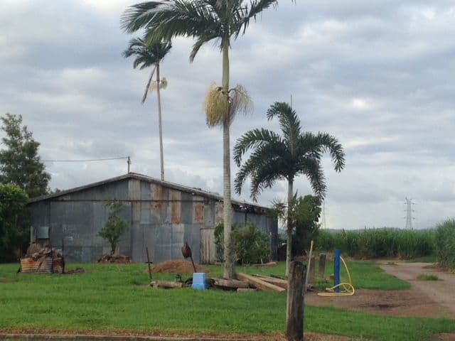 63 Victoria Mill Road, Ingham QLD 4850, Ingham - Thumbnail 3