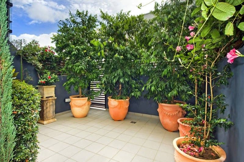 1 Primrose Avenue, ROSEBERY NSW 2018, Rosebery - Thumbnail 5