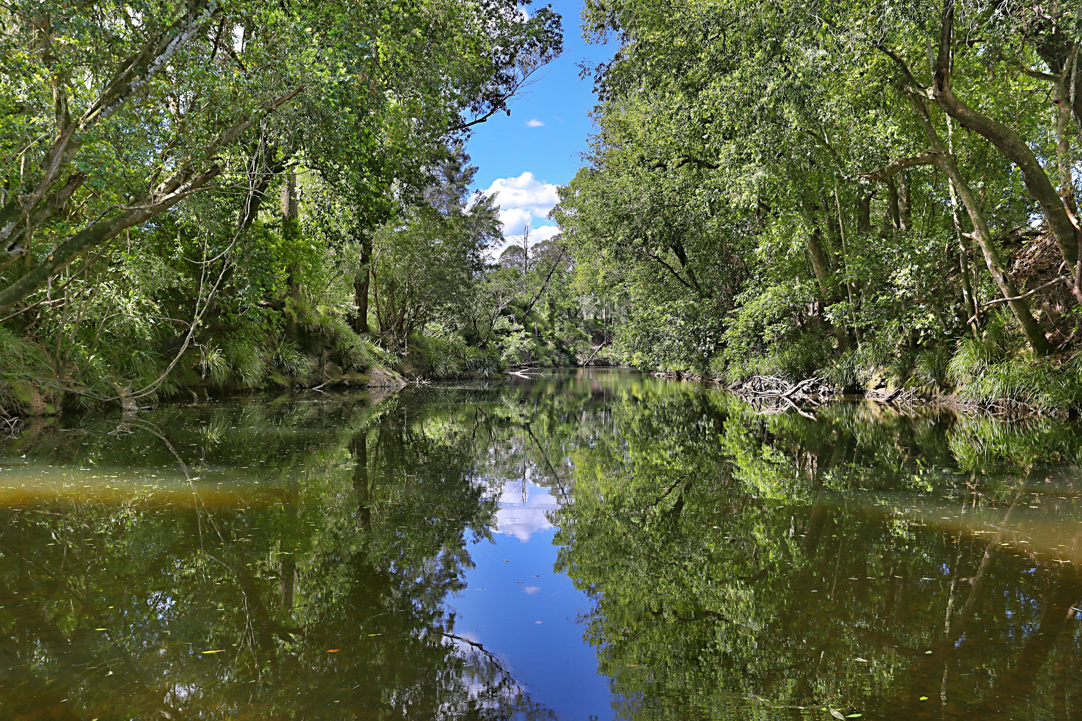 270 Fosterton Road, Dungog - Image 1