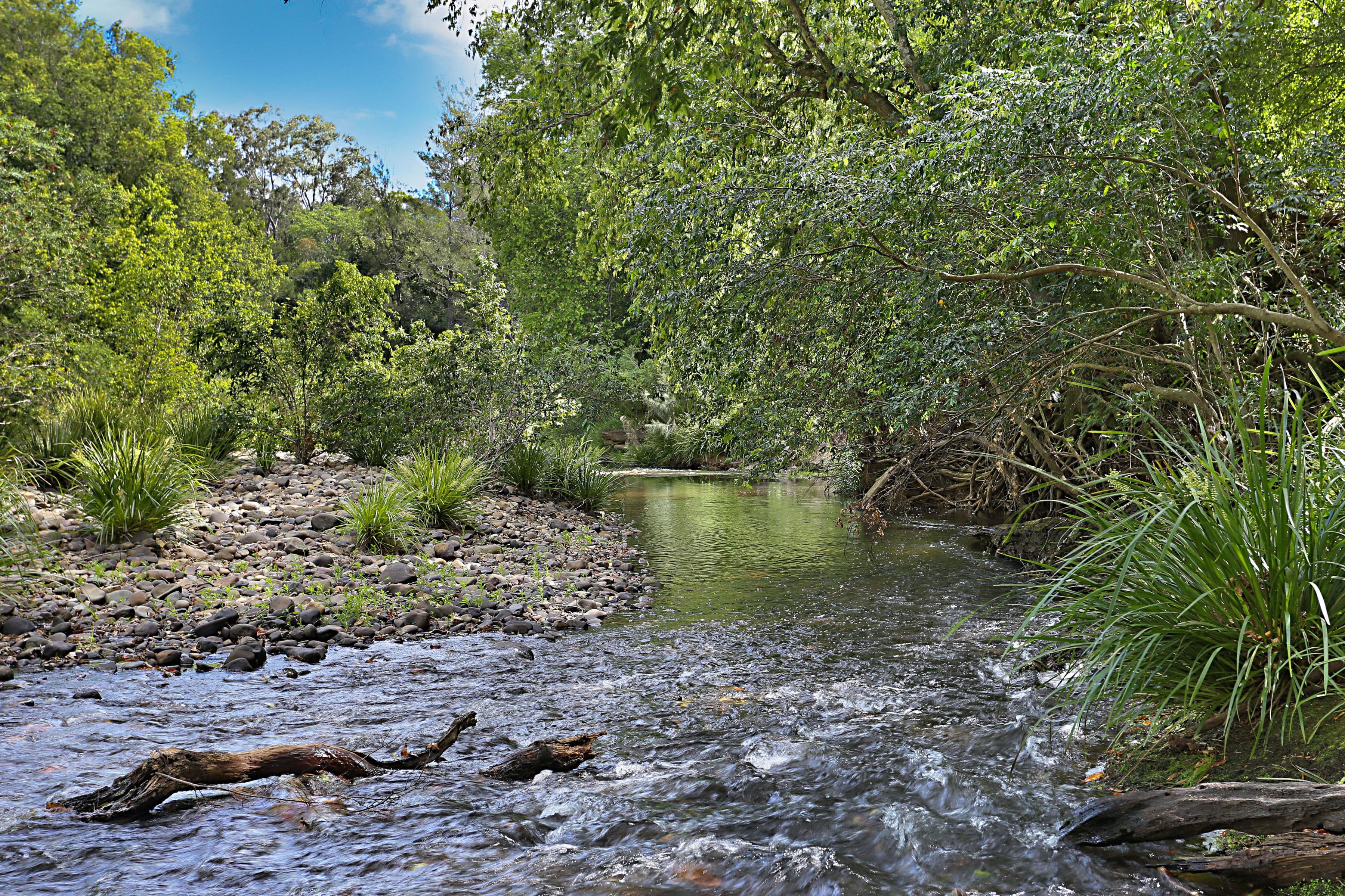 270 Fosterton Road, Dungog - Thumbnail 2