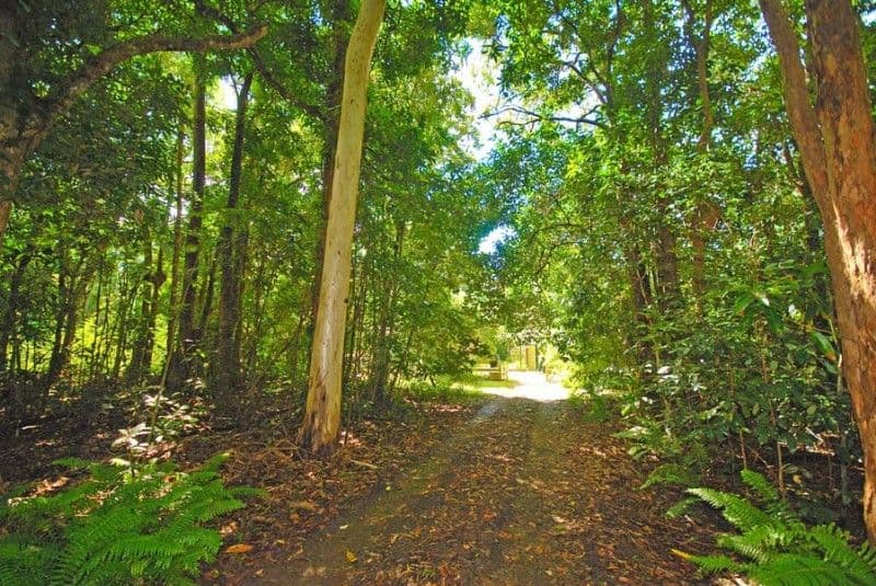 2408 Byfield Road, YEPPOON QLD 4703, Yeppoon - Image 1