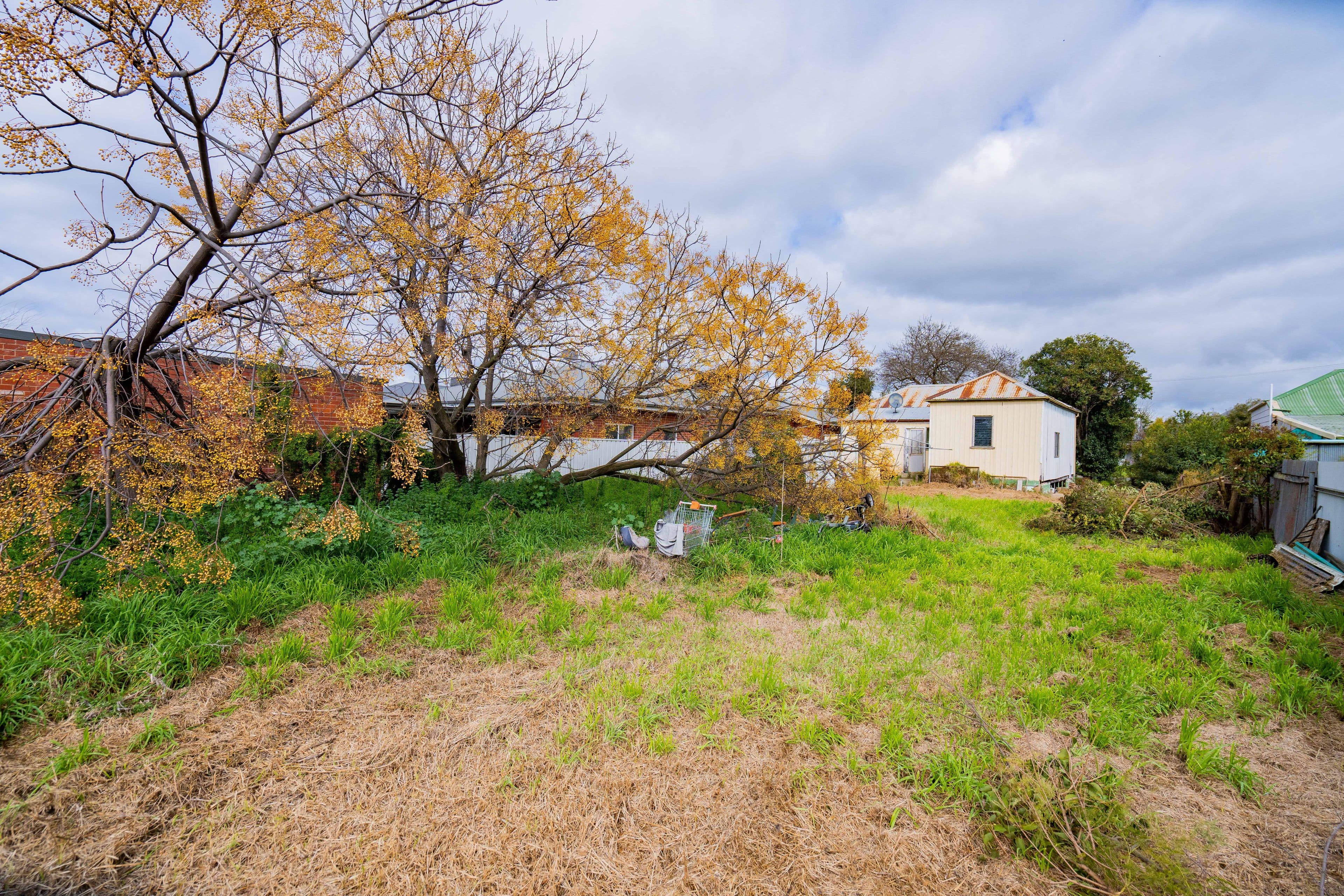 27 Evans Street, Wagga Wagga NSW 2650, Wagga Wagga - Thumbnail 3