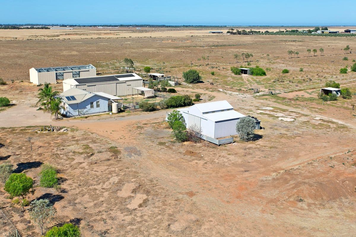 Lot 160 Buckland Park Road, TWO WELLS SA 5501, Two Wells - Image 1