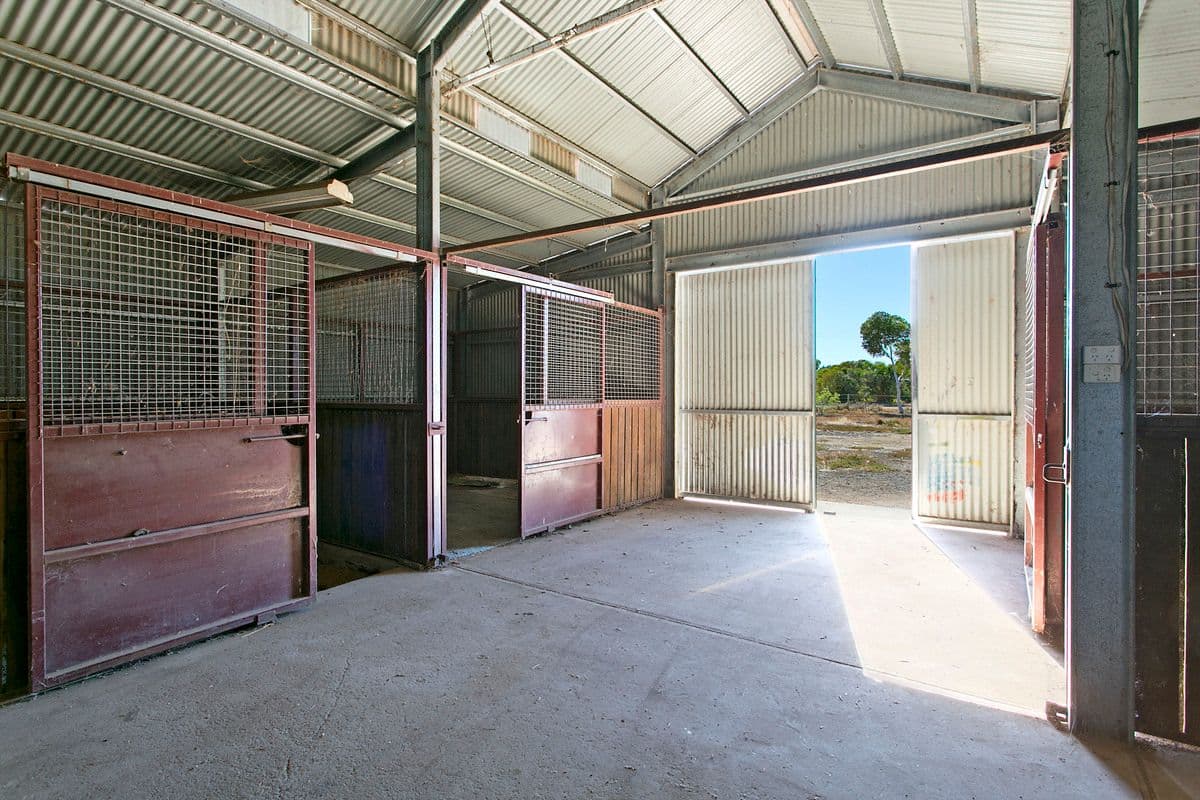 Lot 160 Buckland Park Road, TWO WELLS SA 5501, Two Wells - Thumbnail 3