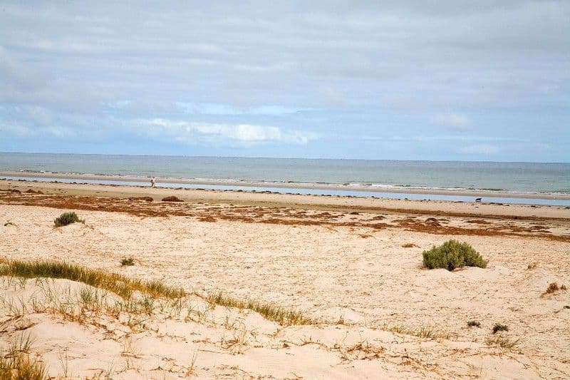 253 Lady Gowrie Drive, LARGS NORTH SA 5016, Largs North - Thumbnail 3