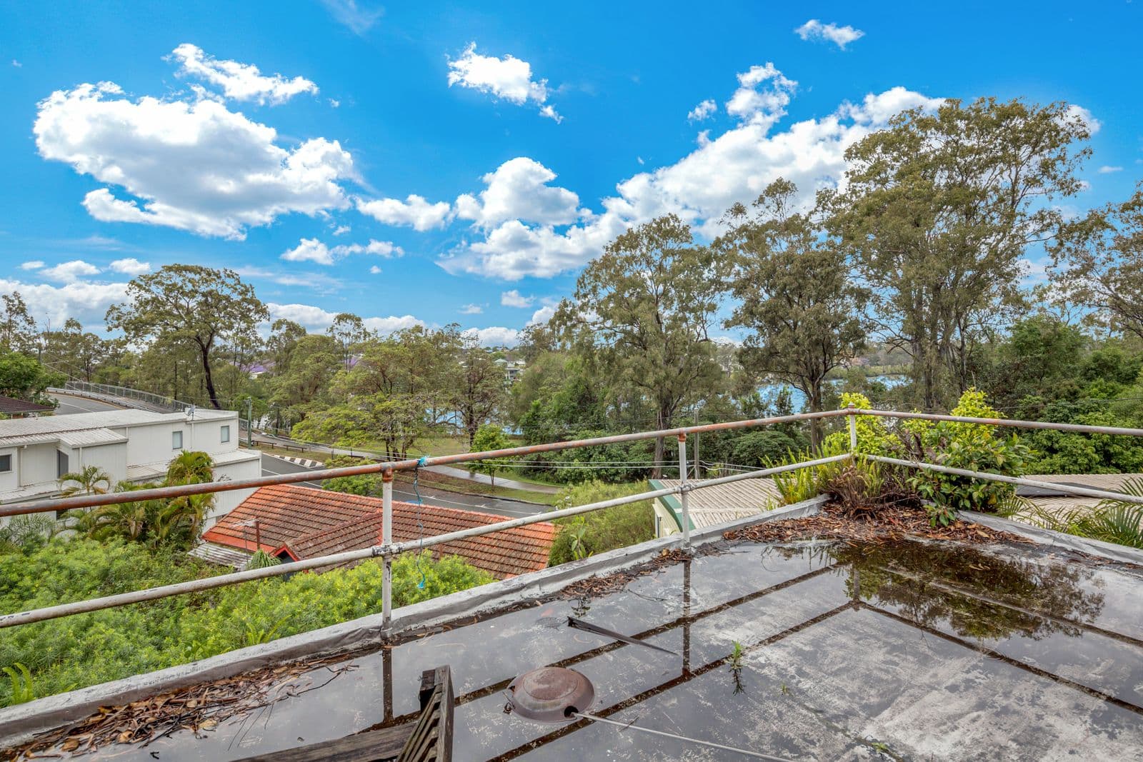 20 Tarcoola Street, St Lucia QLD 4067, St Lucia - Thumbnail 5