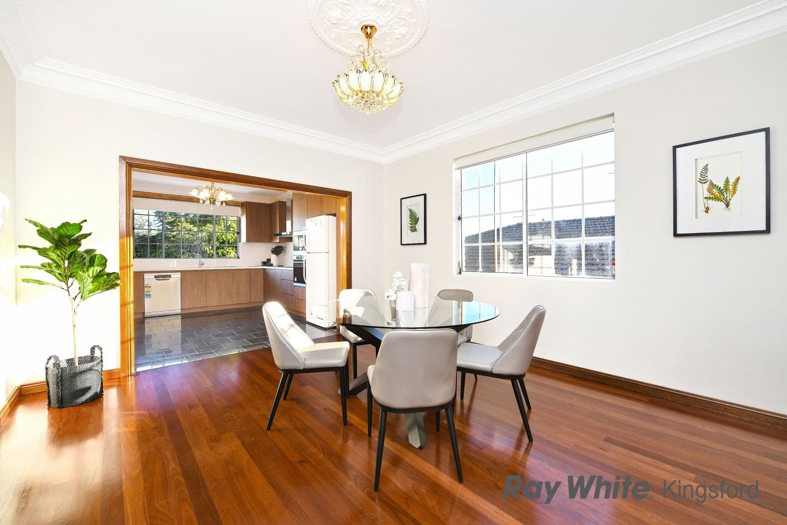 43 Rainbow Street, Kingsford NSW 2032, Kingsford - Thumbnail 6
