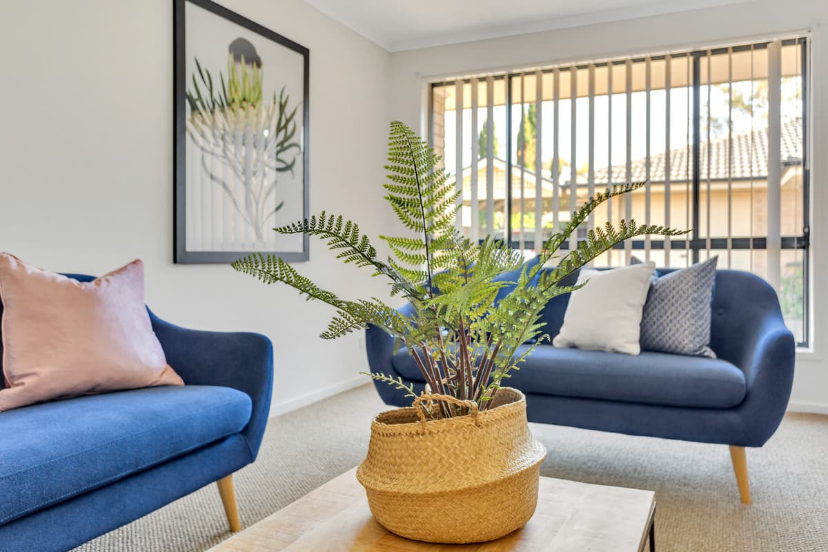 71 Warren Avenue, Blair Athol SA 5084, Blair Athol - Thumbnail 3