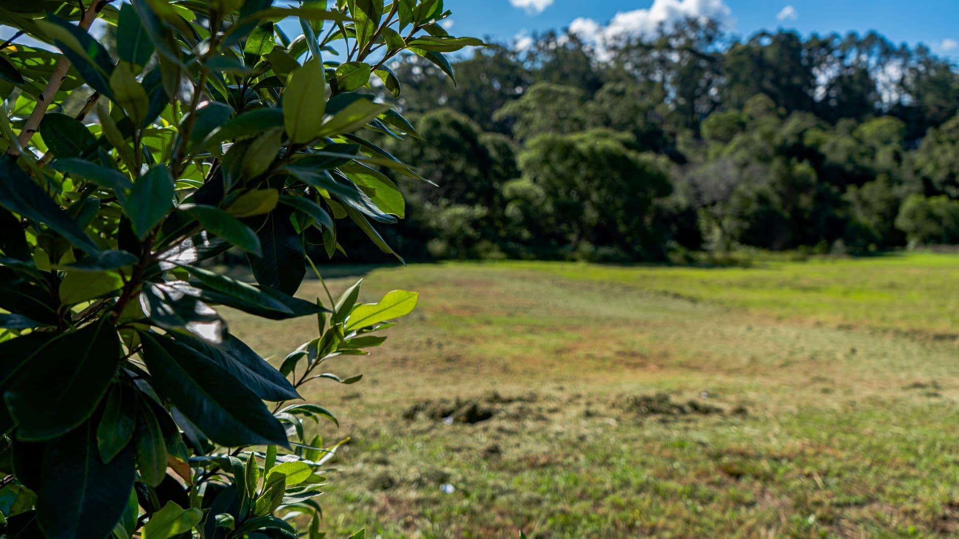 87 Parker Crescent, Berry NSW 2535, Berry - Thumbnail 4