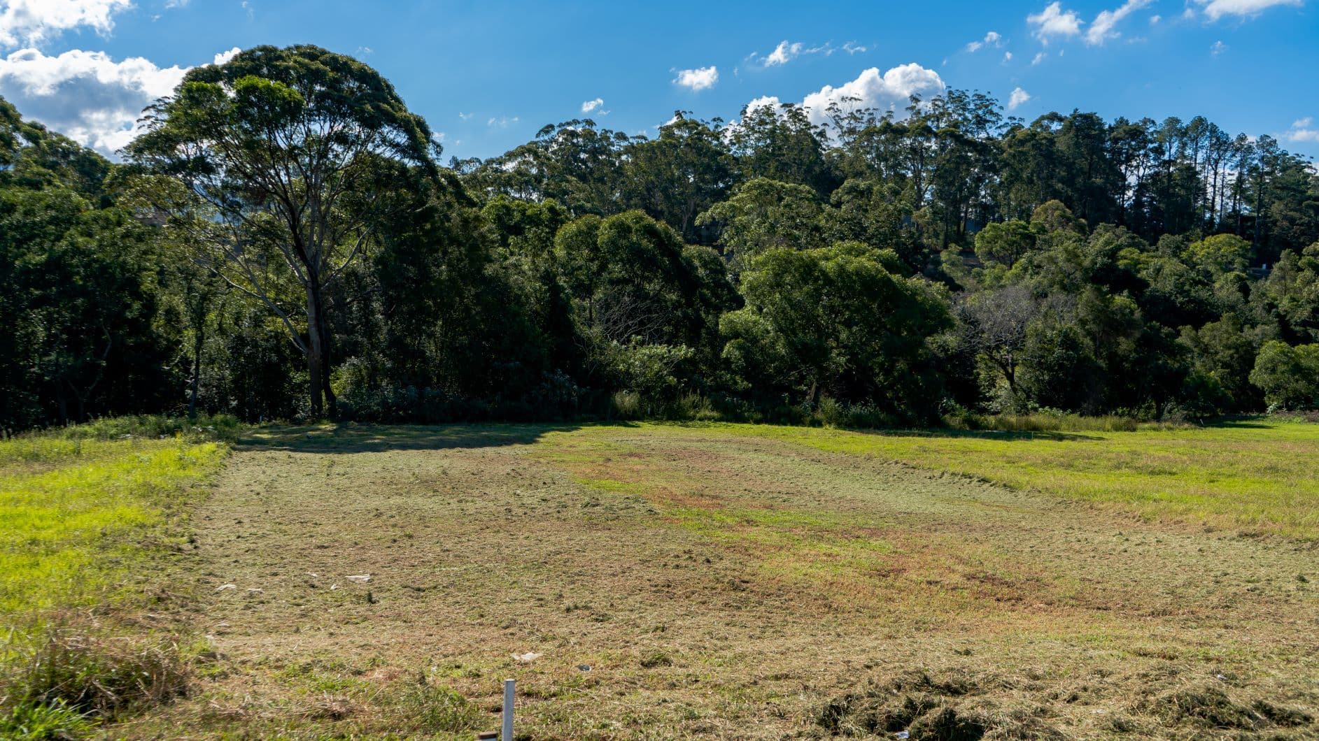 87 Parker Crescent, Berry NSW 2535, Berry - Thumbnail 5