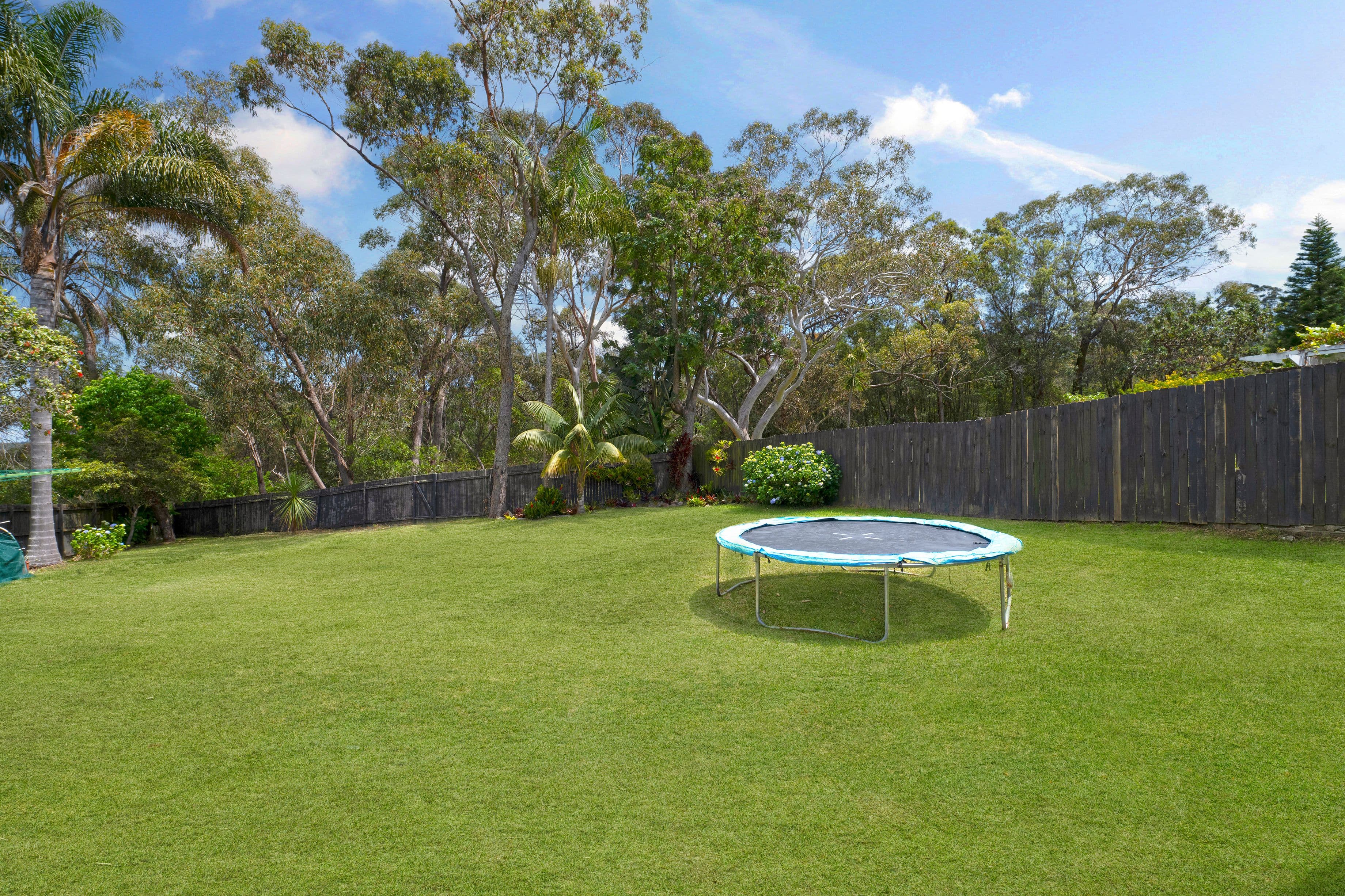 49 Calool Crescent, Belrose NSW 2085, Belrose - Thumbnail 8