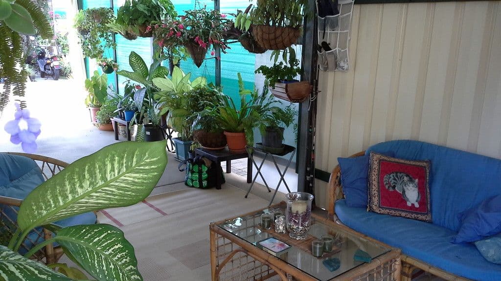 Villa 96 'Palm Village'  63 Caloundra Road, Little Mountain QLD 4551, Little Mountain - Thumbnail 7