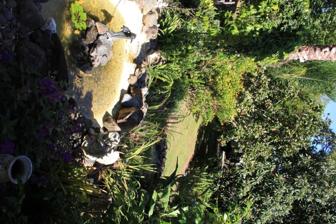 77 Gale Street, Coramba, Coramba - Thumbnail 2