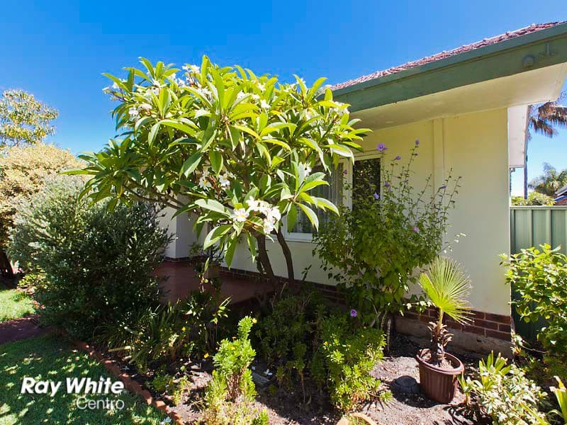 173 Daglish Street, WEMBLEY WA 6014, Wembley - Thumbnail 3