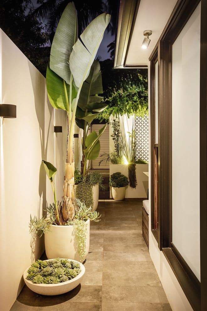 19 Taylor Street, Darlinghurst NSW 2010, Darlinghurst - Thumbnail 5