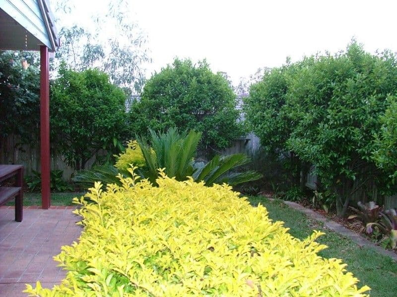 KURABY QLD 4112, Kuraby - Thumbnail 3
