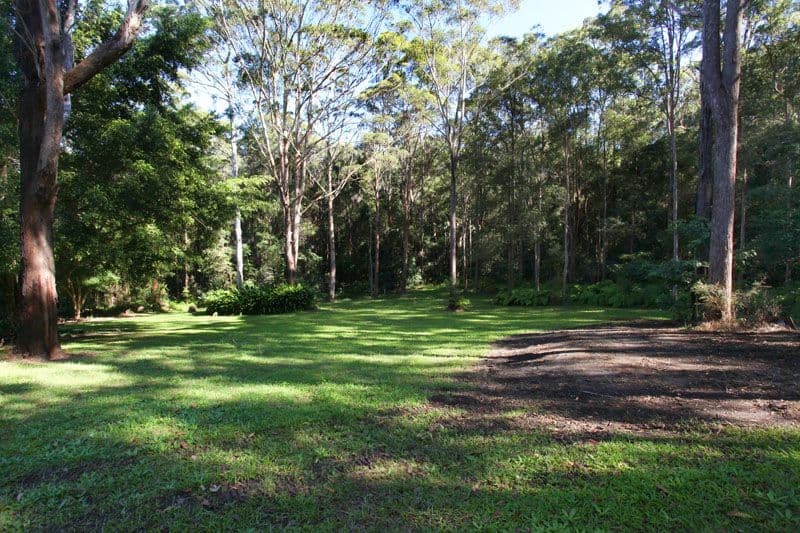 23 Ellem Court, DIDDILLIBAH QLD 4559, Diddillibah - Thumbnail 8