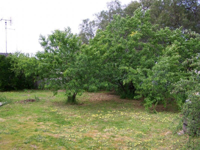 41 Silvermines Road, ST ARNAUD VIC 3478, St Arnaud - Thumbnail 8