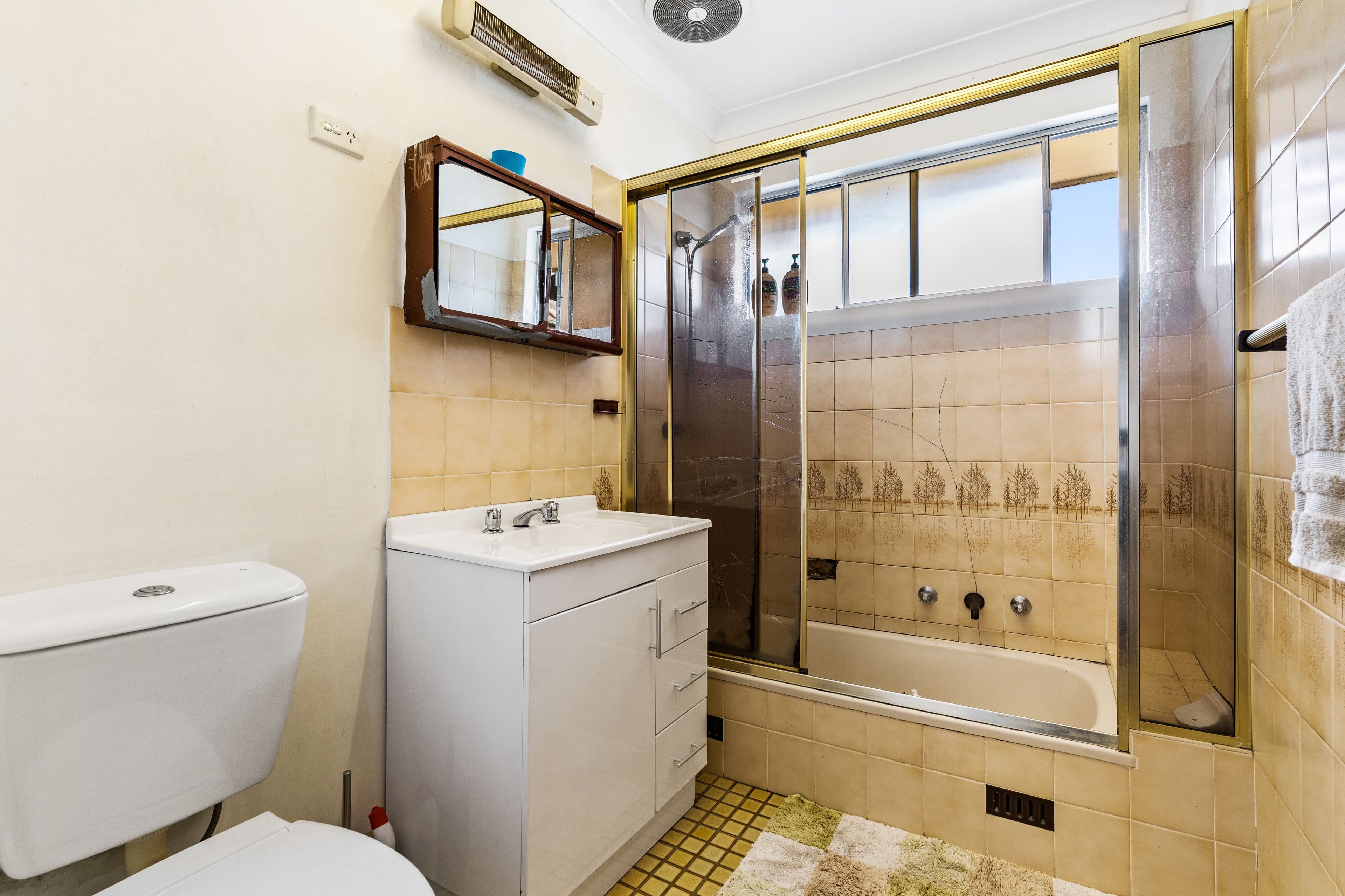 3 Turimetta Avenue, Leumeah NSW 2560, Leumeah - Thumbnail 6