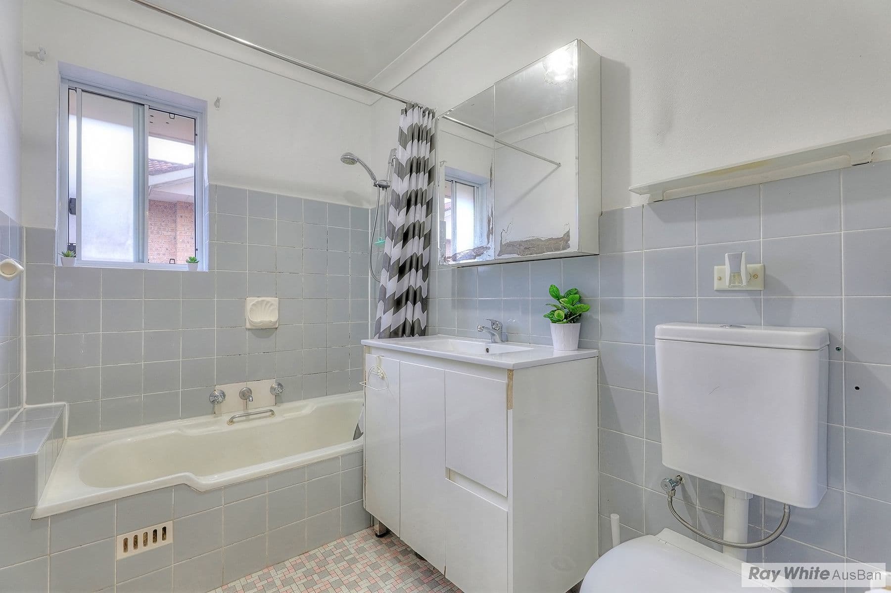 19 SHADFORTH Street, Wiley Park NSW 2195, Wiley Park - Thumbnail 3