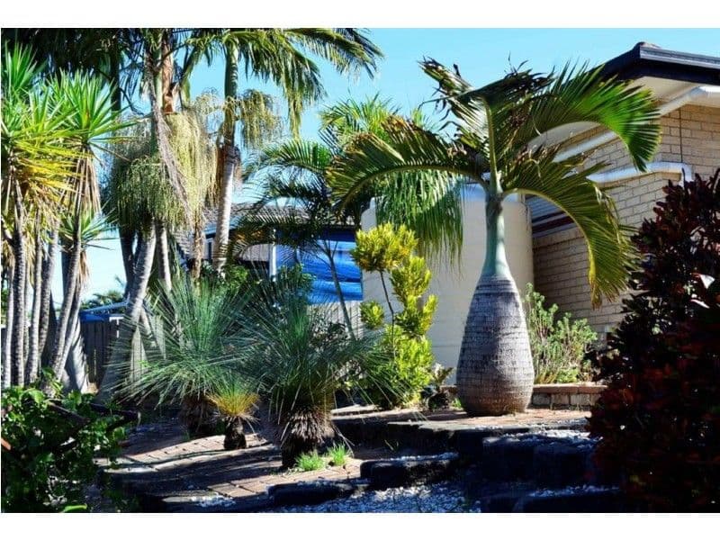 73 Azalea, INALA QLD 4077, Inala - Thumbnail 4