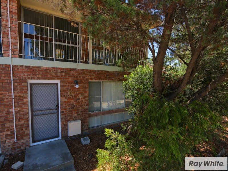 191 Manning Road, Bentley WA 6102, Bentley - Thumbnail 7