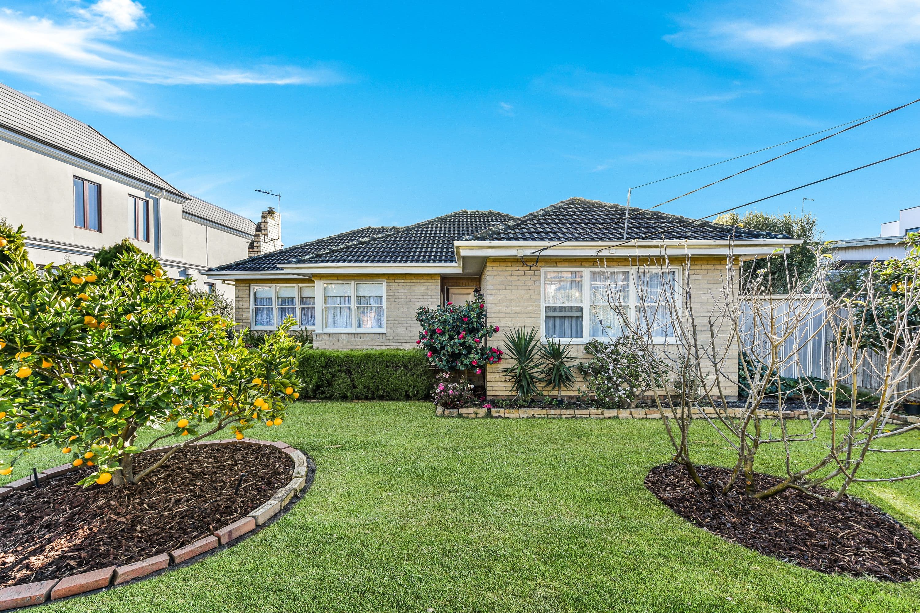 13 Ian Grove, Mount Waverley VIC 3149, Mount Waverley - Image 1