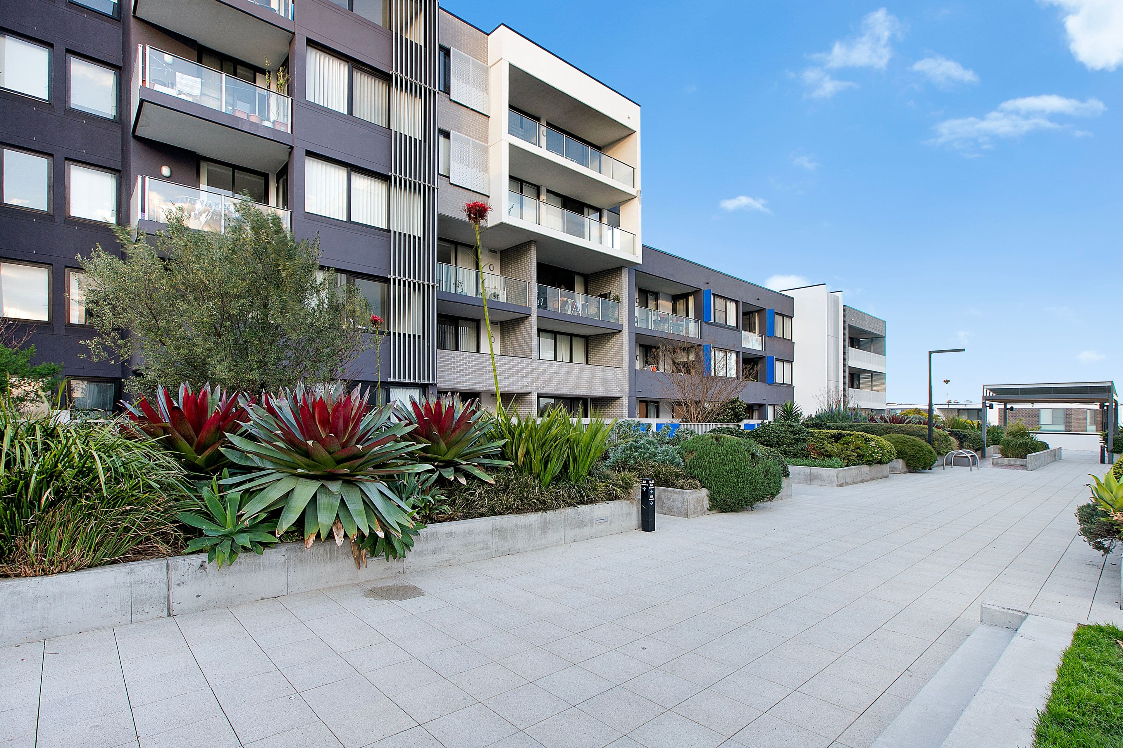 68 Charlotte Street, Campsie NSW 2194, Campsie - Thumbnail 7