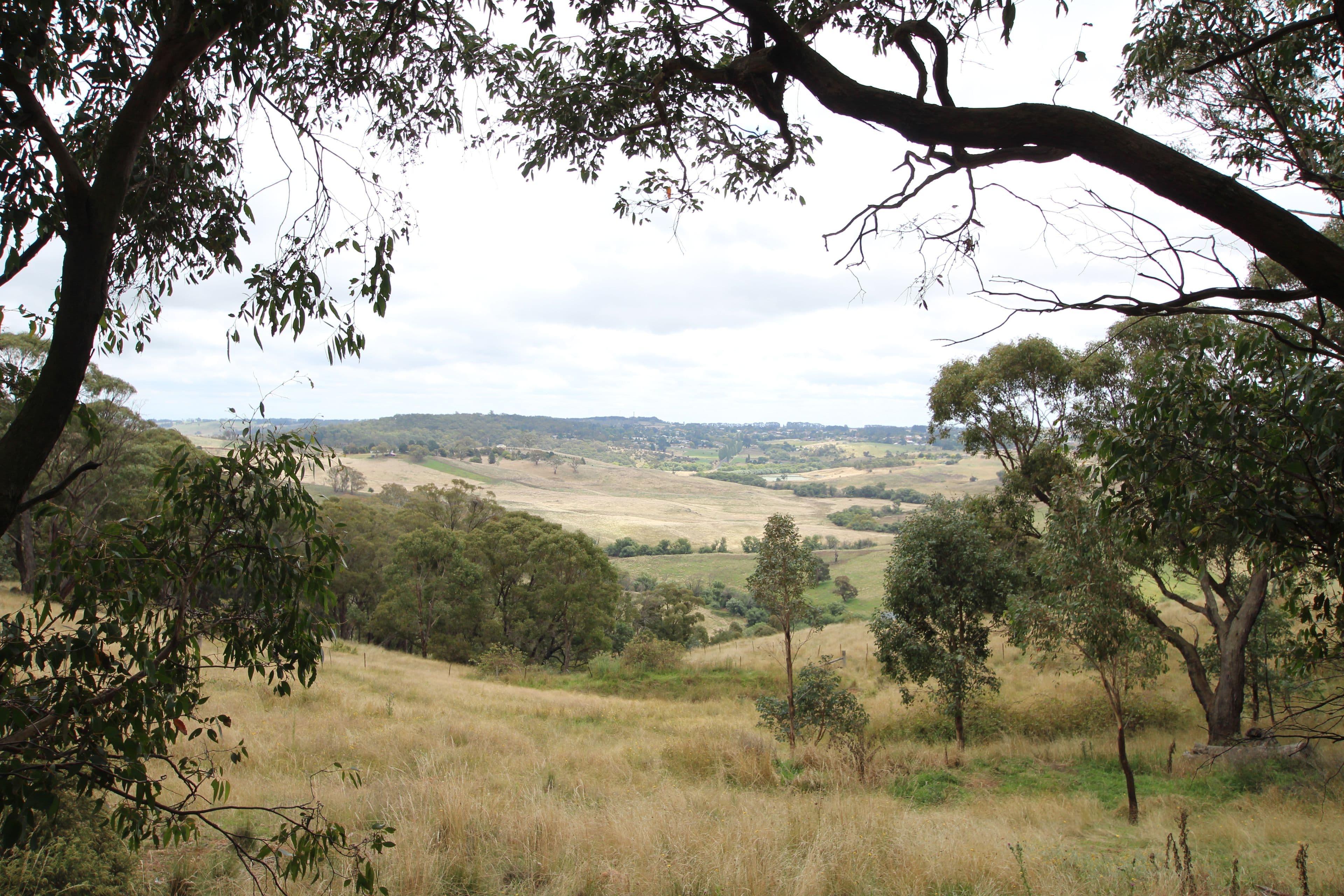 83 Marks Crescent, Oberon NSW 2787, Oberon - Image 1