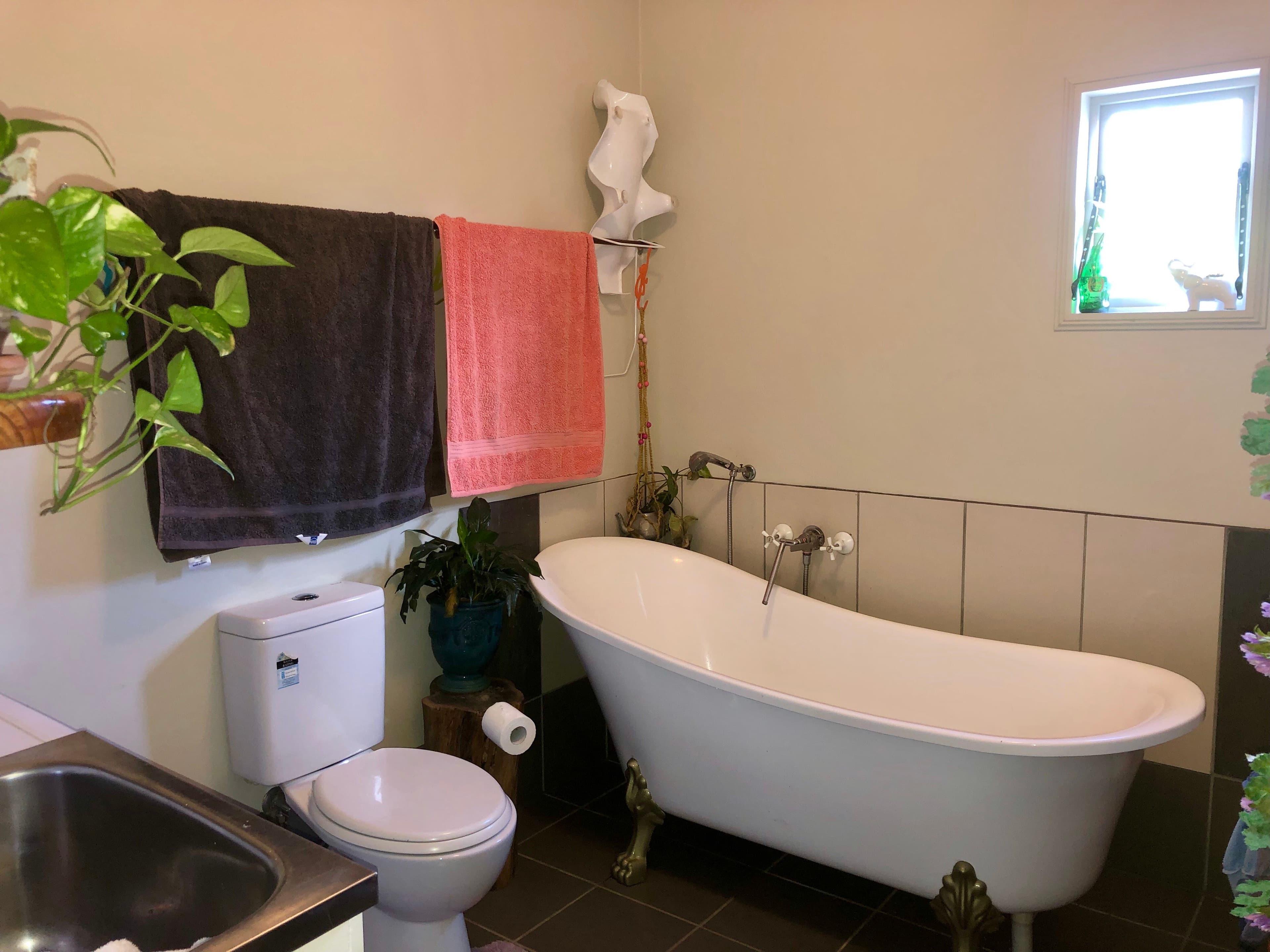 7 Cameron Court, Julatten QLD 4871, Julatten - Thumbnail 5