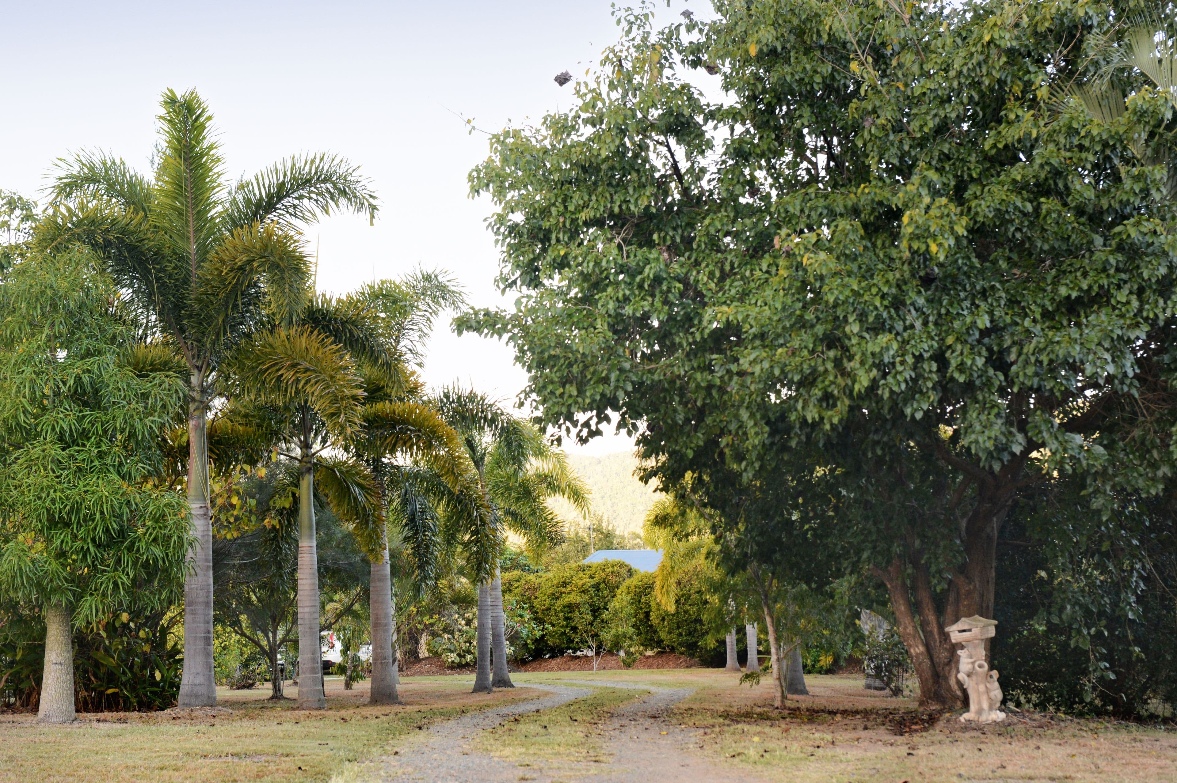 36 Tucker Road, Riordanvale QLD 4800, Riordanvale - Thumbnail 5