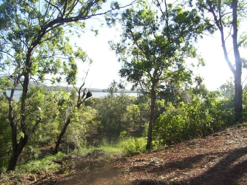 154 Canaipa Point Drive, Russell Island QLD 4184, Russell Island - Thumbnail 2