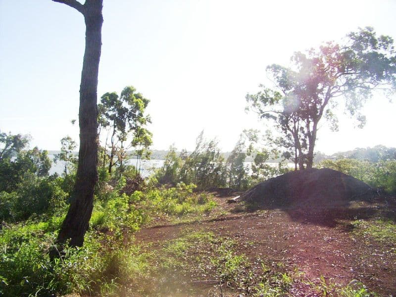 154 Canaipa Point Drive, Russell Island QLD 4184, Russell Island - Thumbnail 3