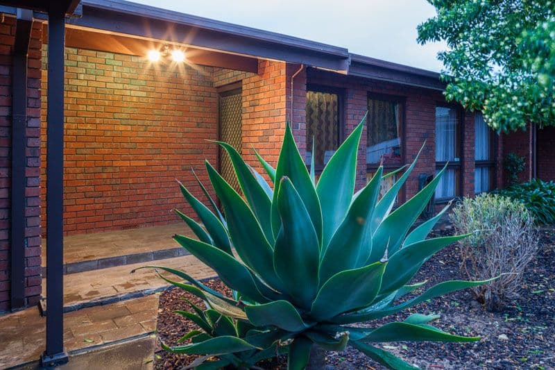 9 Cawthorn Avenue, PASADENA SA 5042, Pasadena - Thumbnail 3