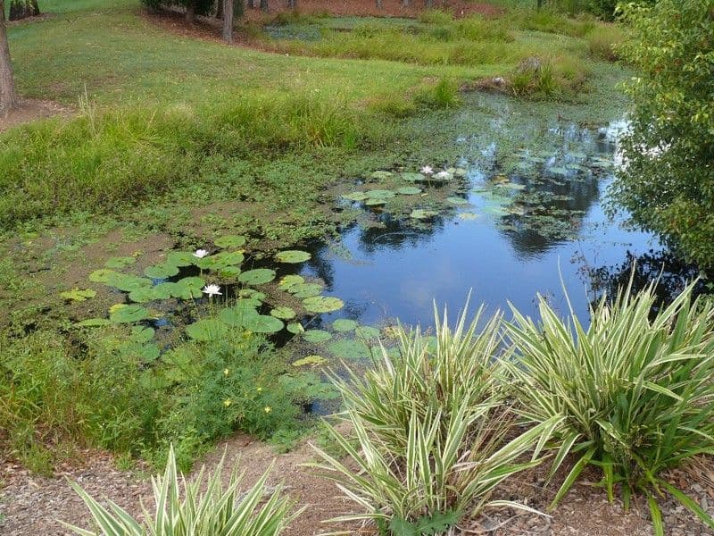 23 Lorenzo Drive, COOMERA QLD 4209, Coomera - Thumbnail 5