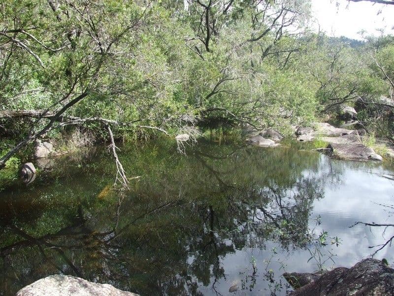 CROWS NEST QLD 4355, Crows Nest - Thumbnail 3
