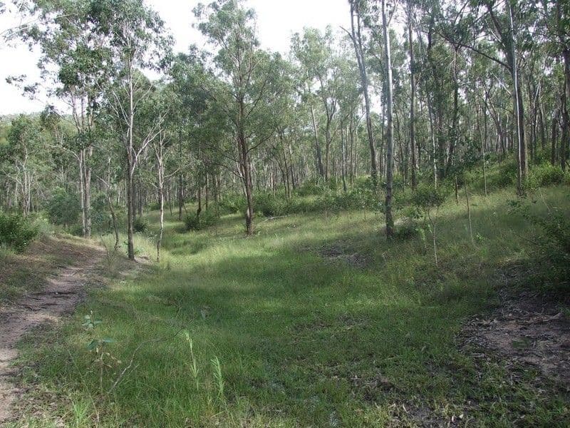 CROWS NEST QLD 4355, Crows Nest - Thumbnail 4