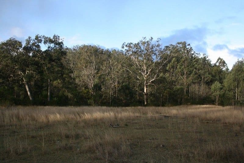 CROWS NEST QLD 4355, Crows Nest - Thumbnail 5